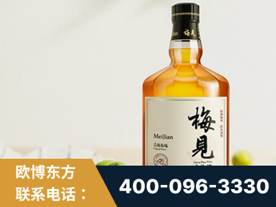 汉中-梅见青梅酒
